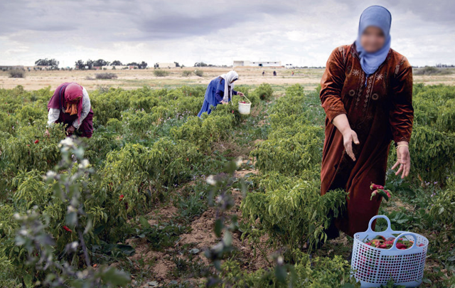 femme_agriculture-640x405